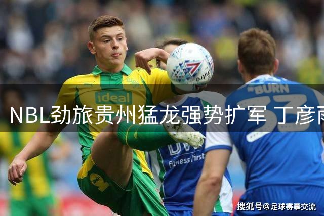 NBL劲旅贵州猛龙强势扩军 丁彦雨航携豪华阵容剑指CBA席位